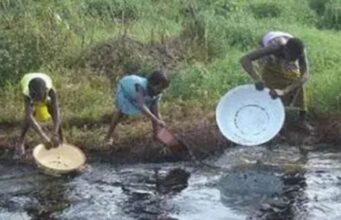 Stop Moves To Resume Oil Exploration In Ogoniland, Over 50 NGOs, CSOs Tell Nigerian Govt