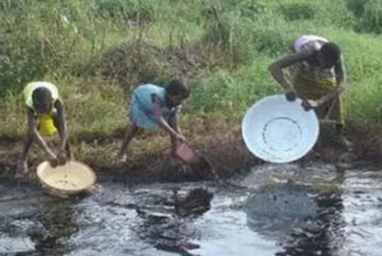 Stop Moves To Resume Oil Exploration In Ogoniland, Over 50 NGOs, CSOs Tell Nigerian Govt