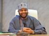 Revenue Service Boss, Adedeji, Describes Report On Frontier Exploration Fund As Fake News