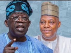 2027: Shettima And The Northern Equation, By Abdulkarim Abdulmalik